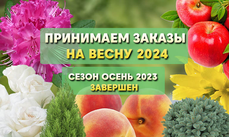 Сезон ОСЕНЬ 2023 - ЗАВЕРШЕН