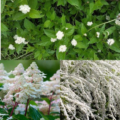 Комплект СКАНДИНАВСКИЙ СТИЛЬ в Алматы