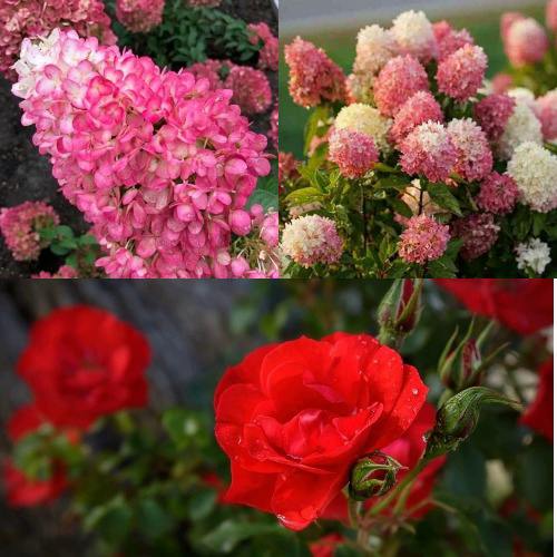 Комплект РОЗОВЫЙ ЗАКАТ в Алматы