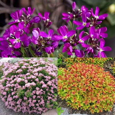 Комплект ЯПОНСКИЙ САД в Алматы