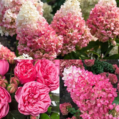 Комплект МАЛИНОВЫЙ ДЕСЕРТ в Алматы